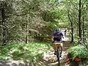 MTB Aalborg 160504 018.jpg
